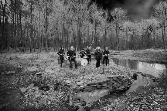 Blondie, In Wilderness, 2009 - Morrison Hotel Gallery