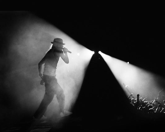 Kid Rock - Morrison Hotel Gallery